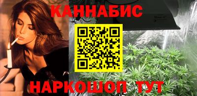 стаф Кимры