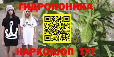 стаф Кимры