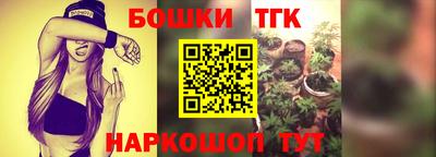 стаф Кимры